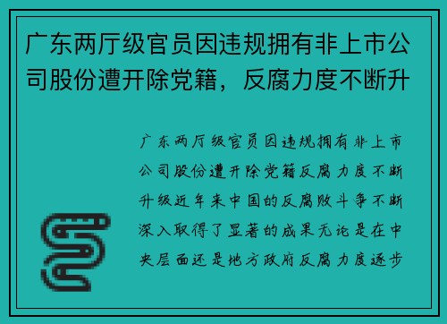 广东两厅级官员因违规拥有非上市公司股份遭开除党籍，反腐力度不断升级