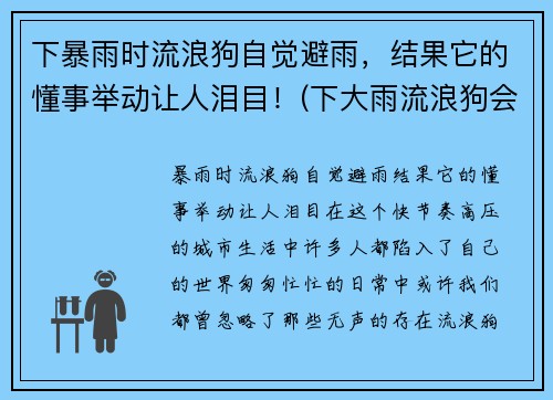 下暴雨时流浪狗自觉避雨，结果它的懂事举动让人泪目！(下大雨流浪狗会在哪躲雨)