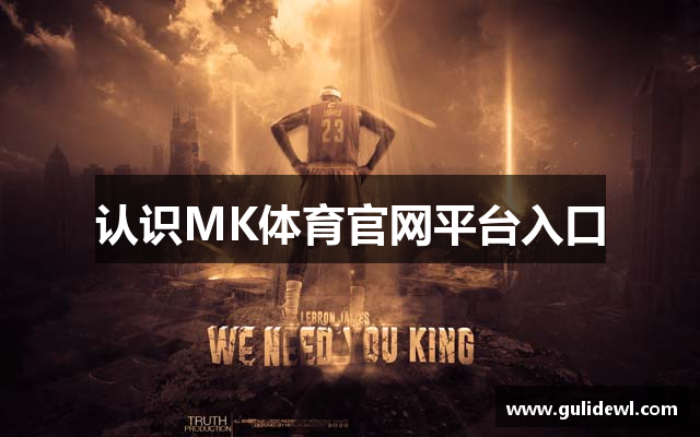 认识MK体育官网平台入口